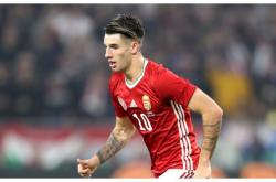 开云体育官网-包含意大利绝杀莱比锡红牛，布鲁诺制霸全场的词条