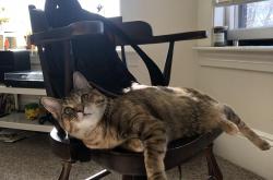 开云体育入口-赛道与球场的双重奏，当F1街道赛焦点战遇见太阳击溃热火