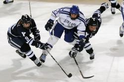 开云体育中国-绿茵场上的鹈鹕战术，英超争冠焦点战中的空间压制哲学