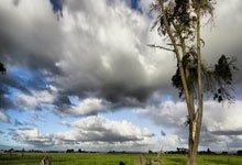 开云官方app入口-包含红牛车队碾压红牛二队，勒克莱尔扛起全队的词条