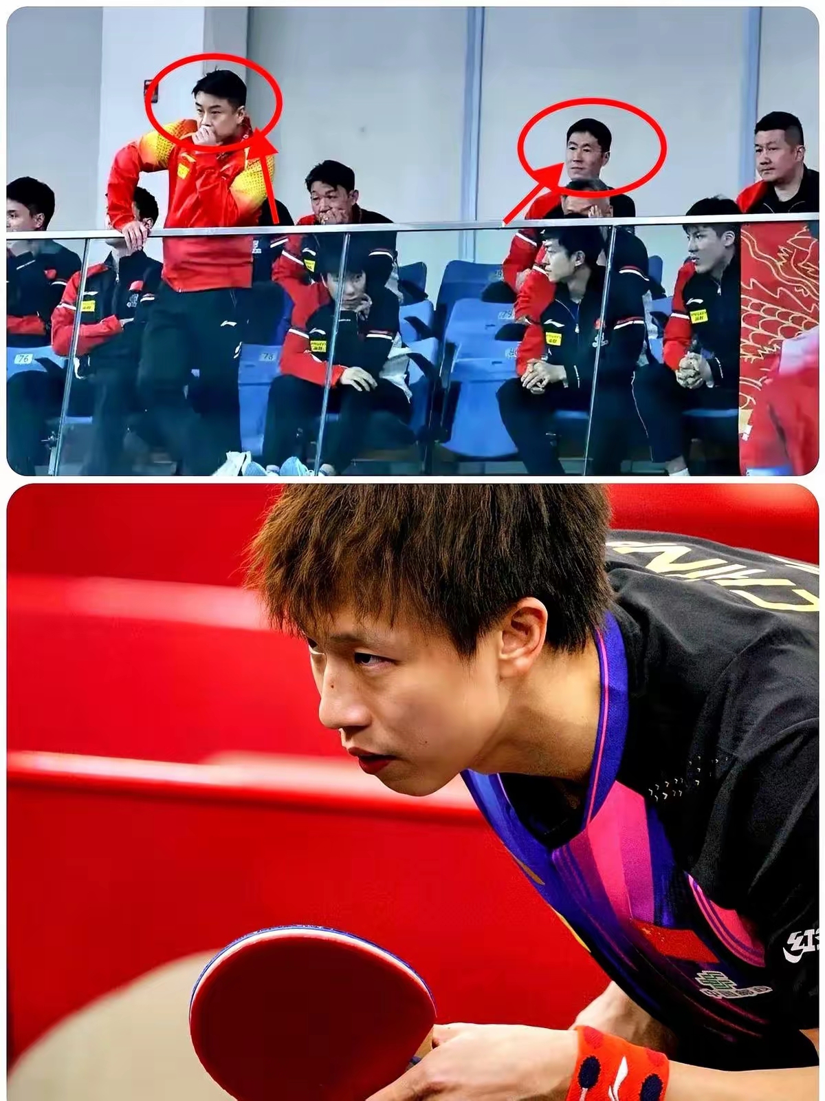 瑞典乒乓球队血洗波兰乒乓球队，王皓一己之力扛起全队的简单介绍