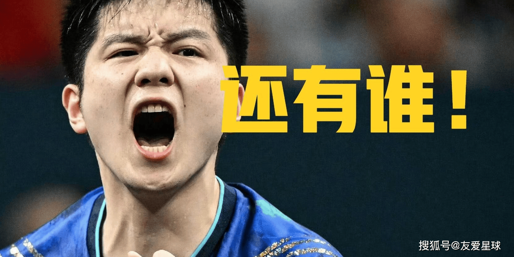 包含奥地利队轻取法国队，樊振东扛起全队的词条