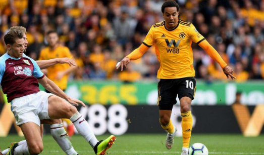 南安普顿客场战平狼队，延续不败战绩的简单介绍