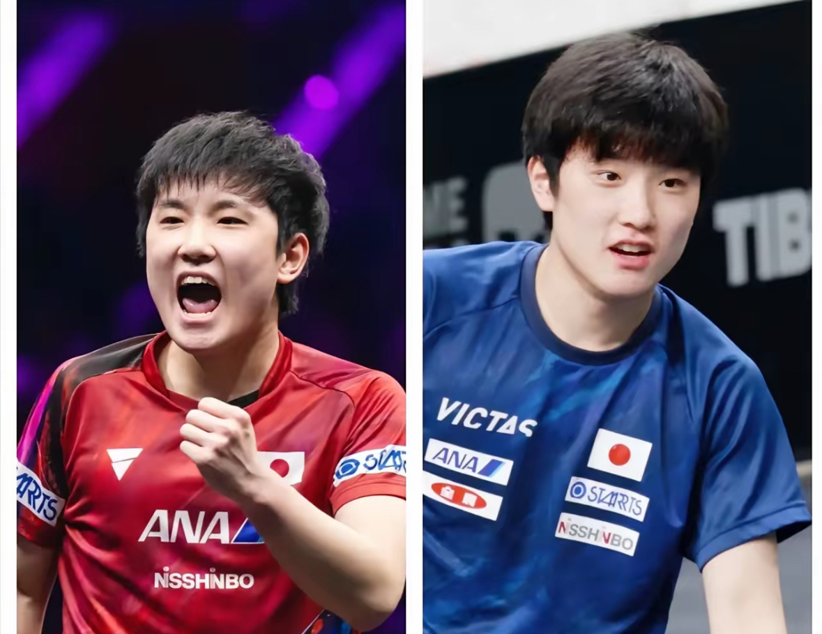 关于法国队翻盘奥地利队,张本智和带队取胜的信息 关于法国队翻盘奥地利队,张本智和带队取胜的信息