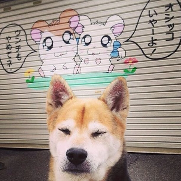 佩德里,用实力打破节奏,西班牙新星如何让拜仁式英格兰俯首